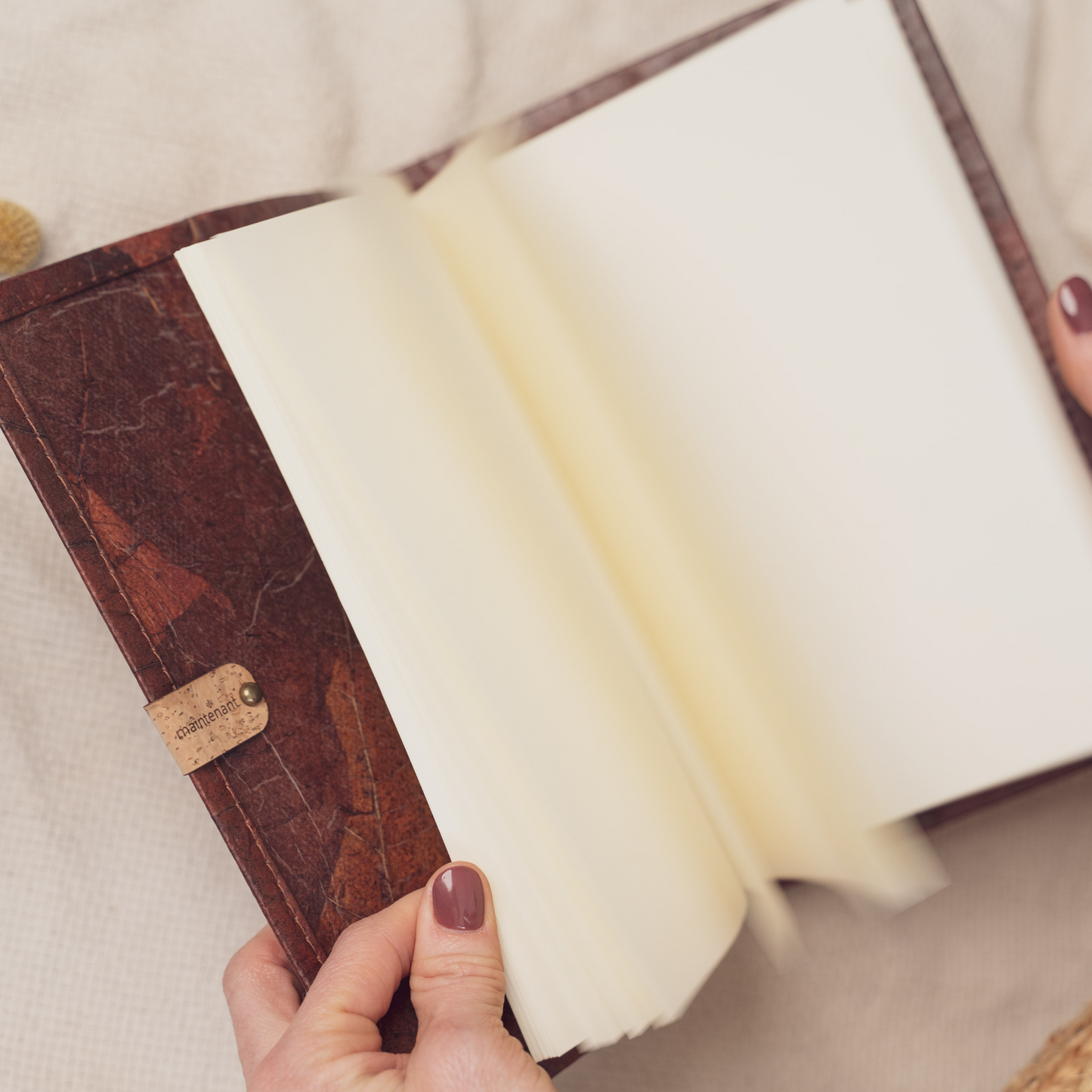 le carnet de notes elvi (2 couleurs)